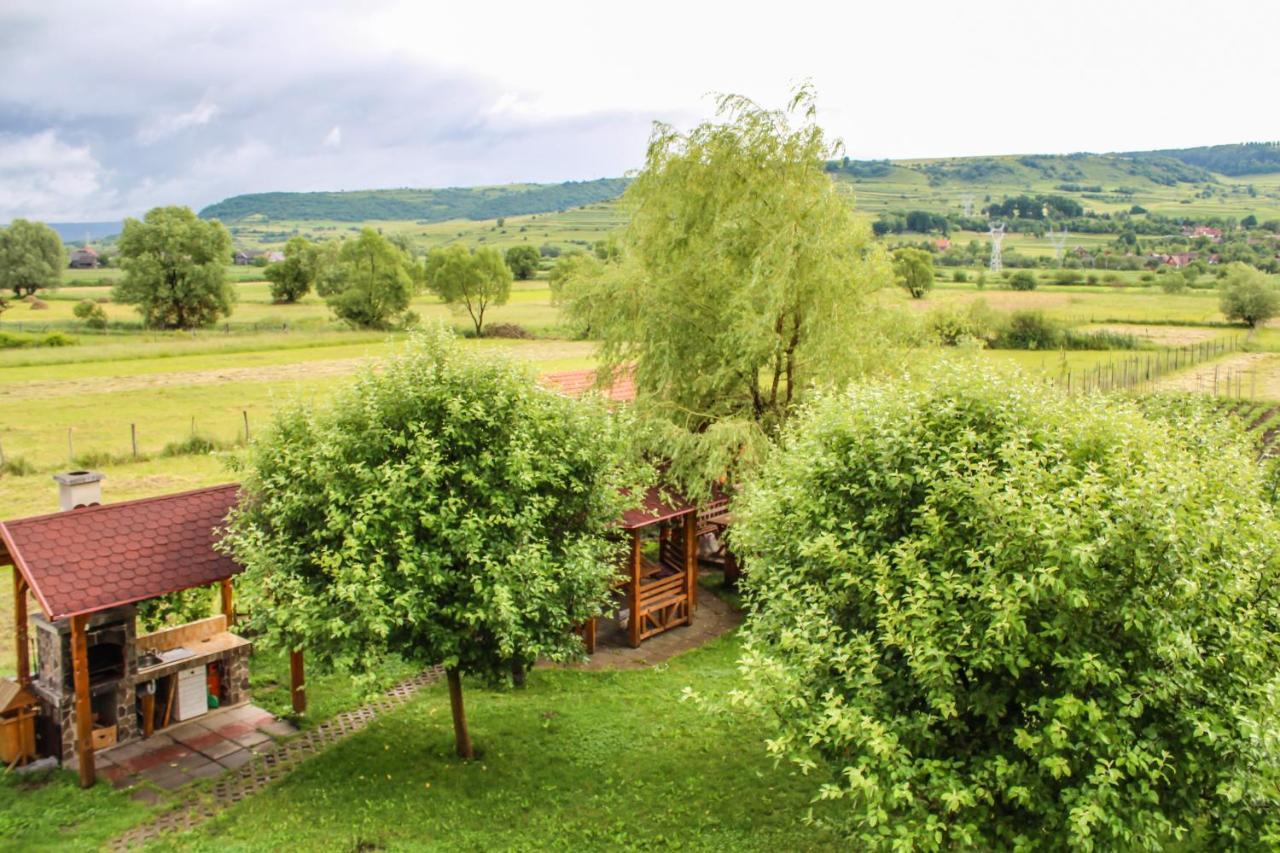Sóvidék Guesthouse Parajd Kültér fotó