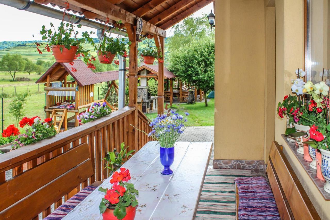 Sóvidék Guesthouse Parajd Kültér fotó